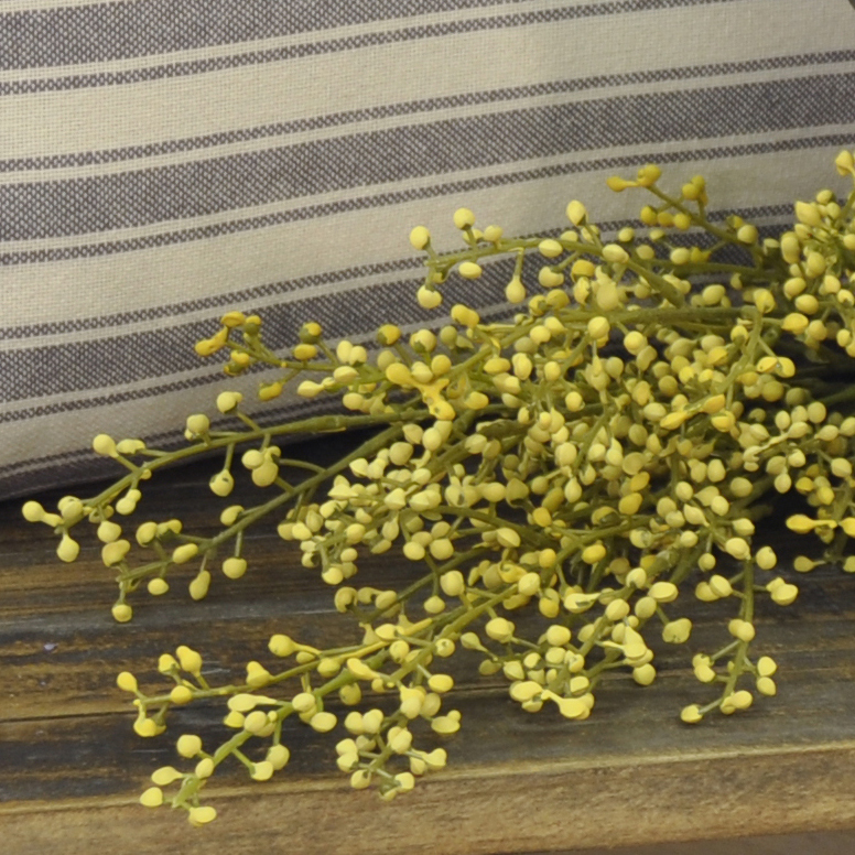 Button Berry Bush - Yellow