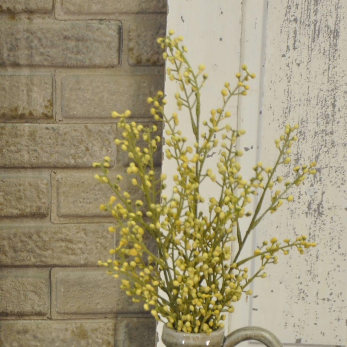 Button Berry Bush - Yellow - Image 5