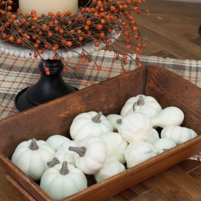 Fall's Folly Mini Pumpkins - Set/16