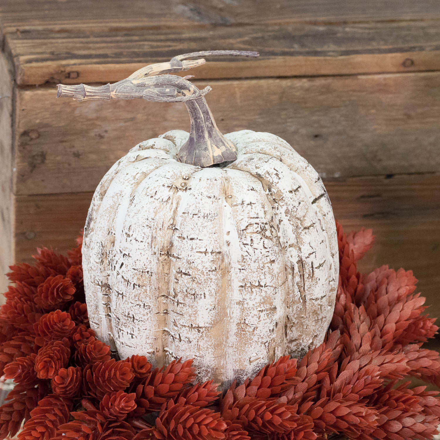 White Birch Pumpkin - 8" - Image 2