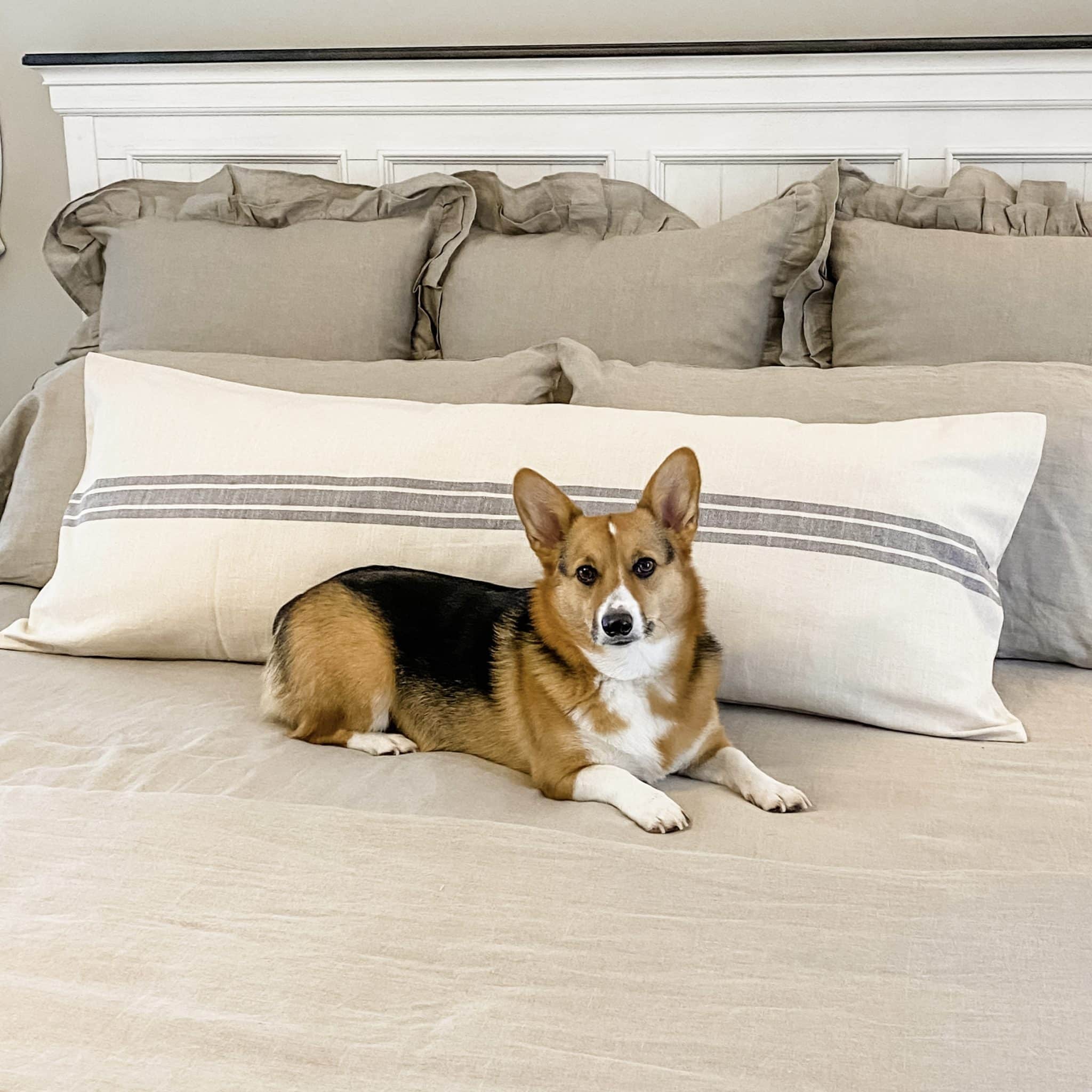 Market Place Gray Body Pillow Cover - Image 4