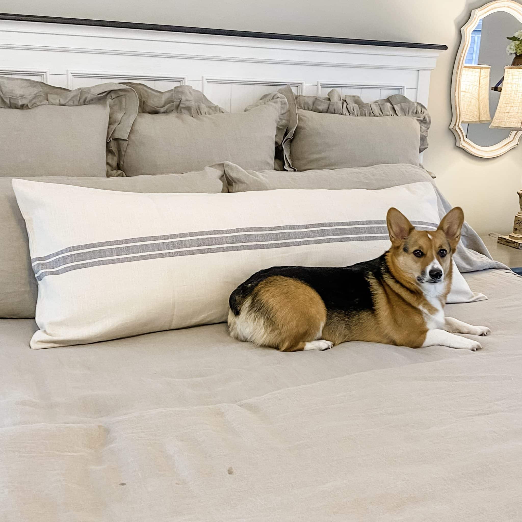 Gray body pillow case online