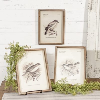 Birds Framed Prints - Set/3