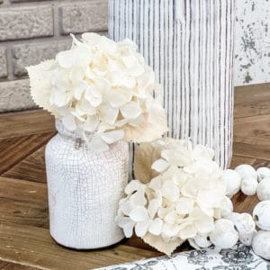 Creamy mophead hydrangea with neutral bleached leaves