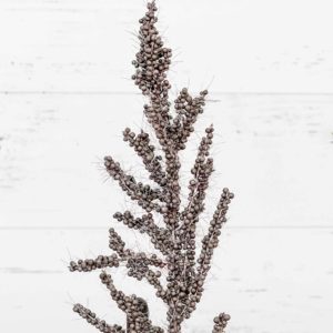 Soft Dusty gray stem with seed pods