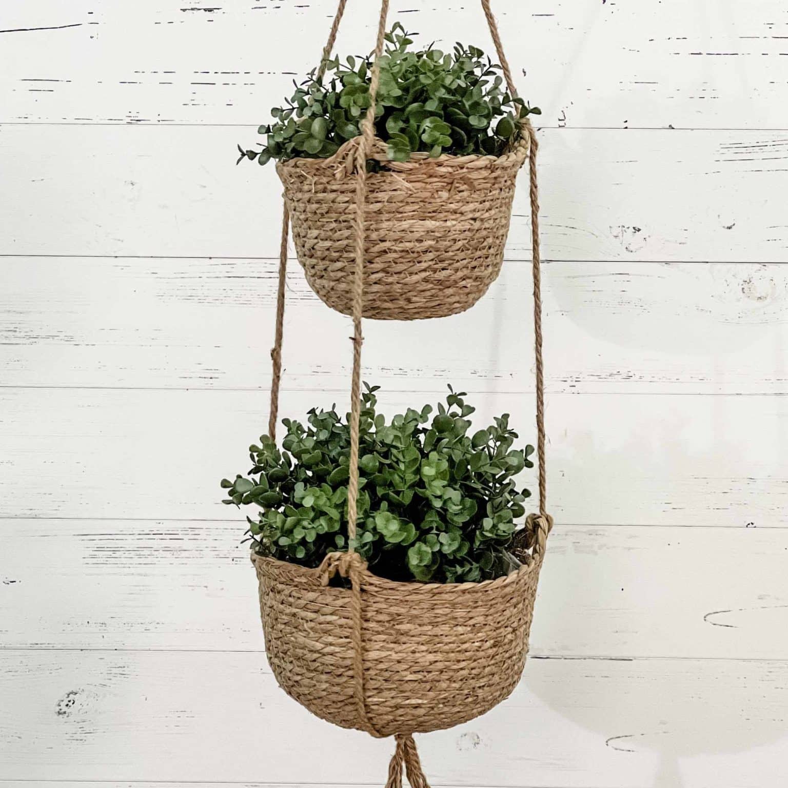 Double Hanging Braided Planter Piper Classics