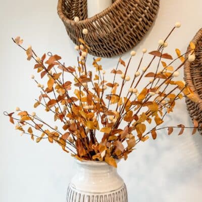 Morse Berry Bush - Yellow