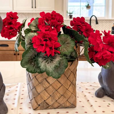 Summer Red Geranium Bushes, Set/2