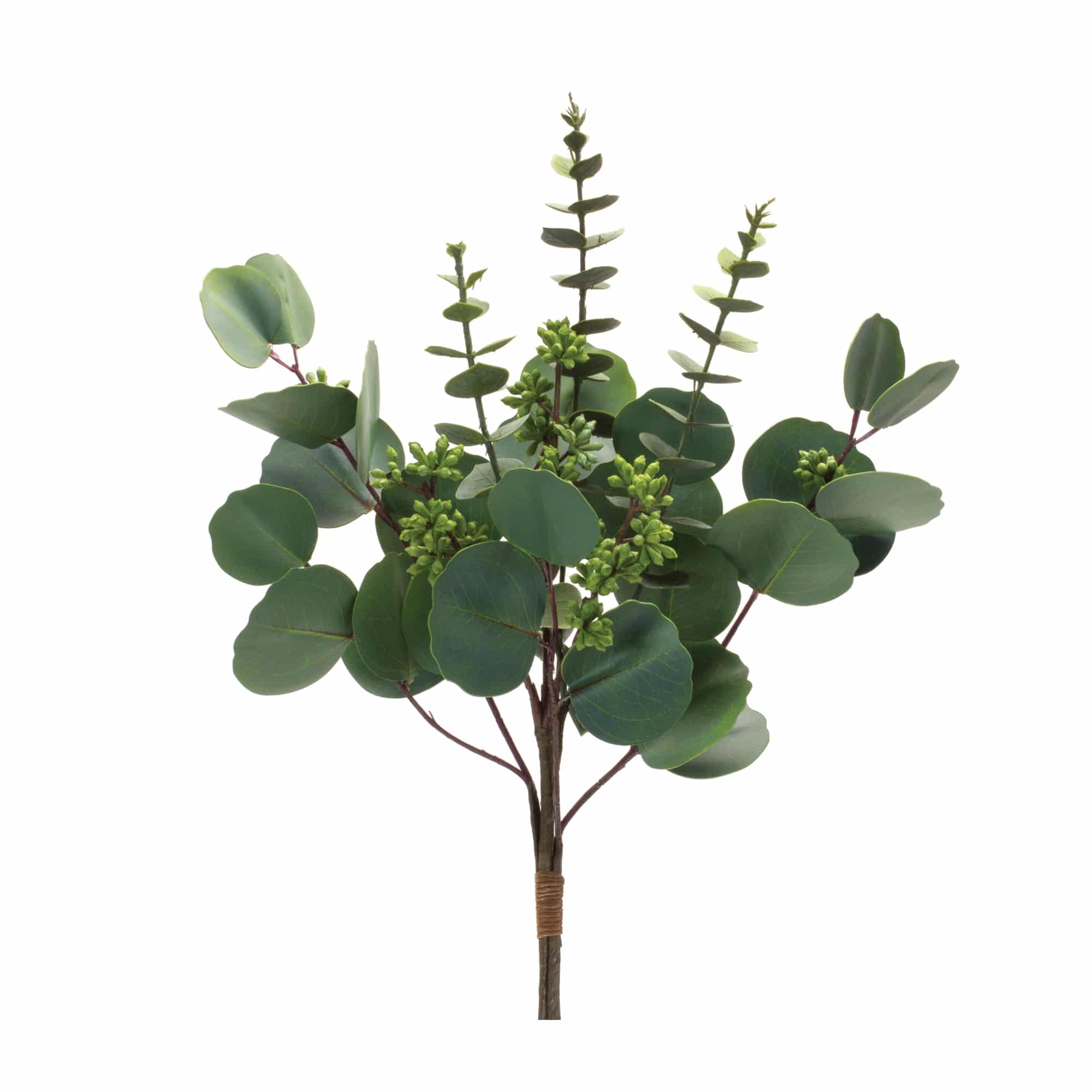 Mixed Eucalyptus Bundle, Set/6 Bunches - Image 8