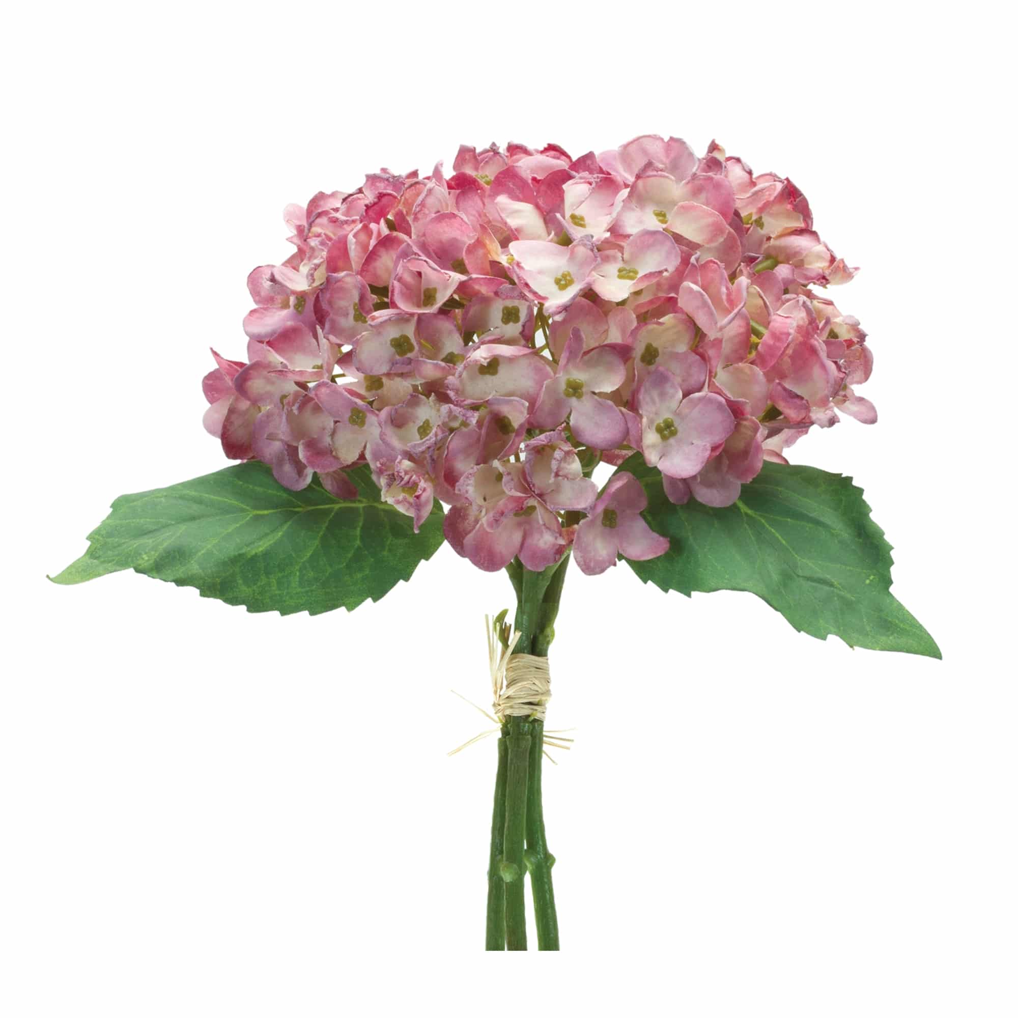 Heirloom Rose Hydrangeas, Set/6 Bundles - Image 2