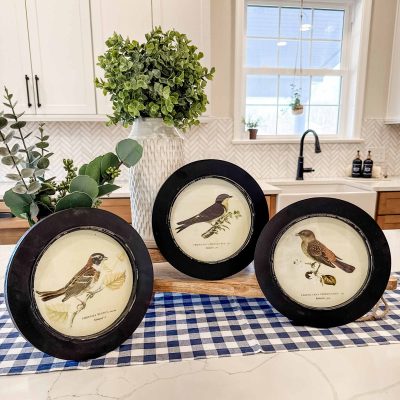 birdsong prints in round frames set of three farmhouse circular songbird art displays