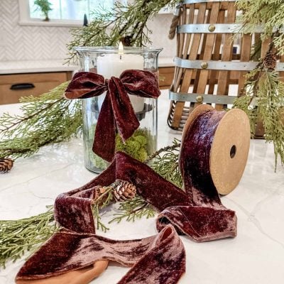 Velvet Brown Ribbon w/ Raw Edge