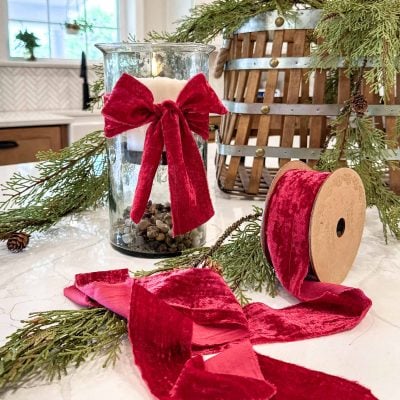 Velvet Red Ribbon w/ Raw Edge