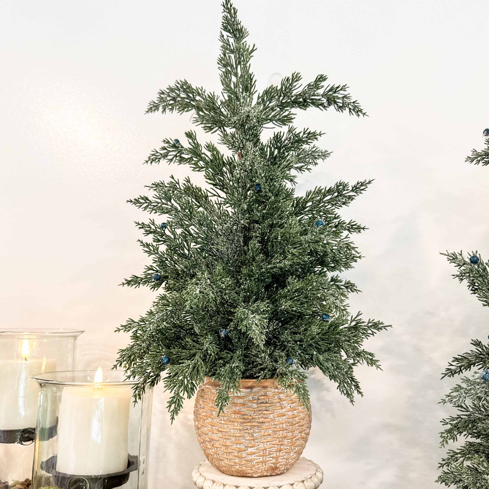 Two (2) Potted Pines in Woven Baskets - Image 2