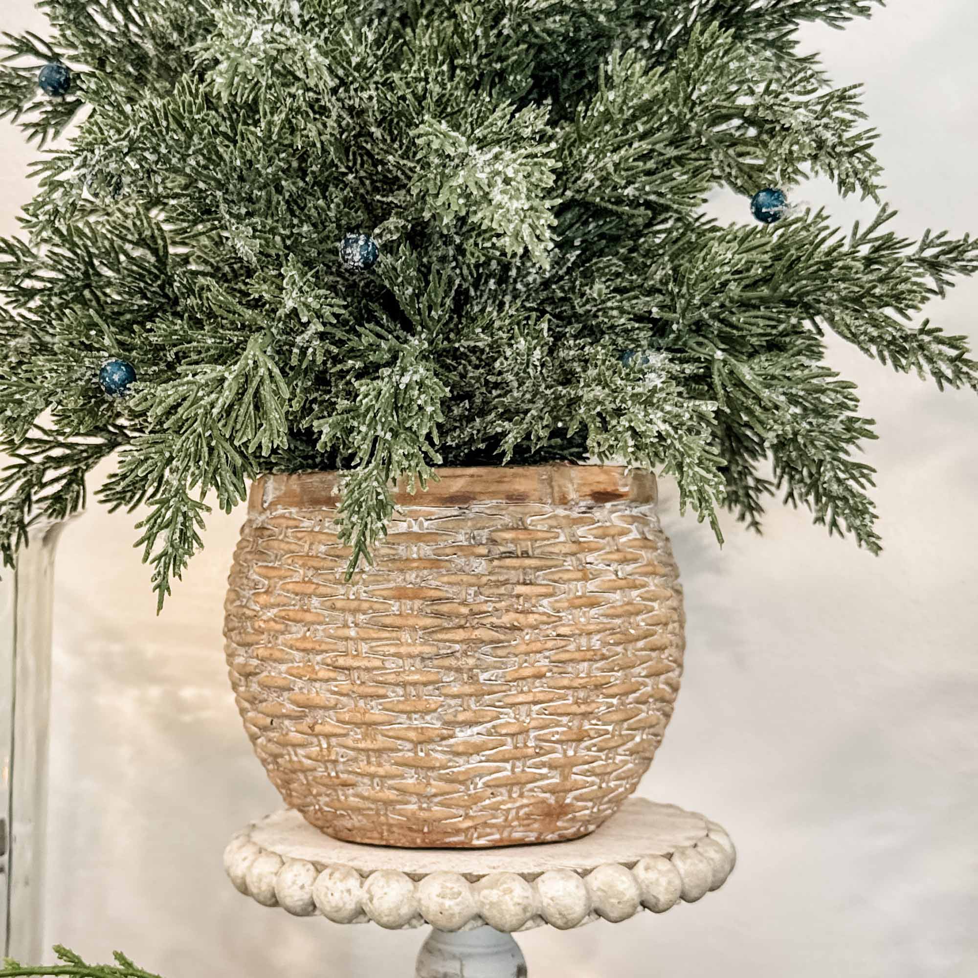 Two (2) Potted Pines in Woven Baskets - Image 3