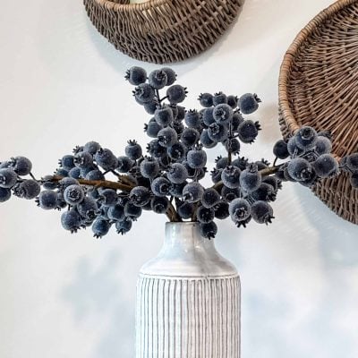 Wild Blue Berries, Set/6