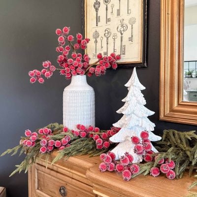 Wild Red Winter Berries, Set/6