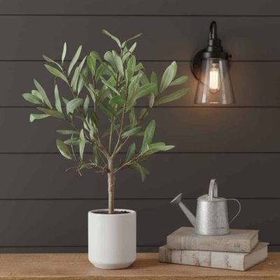 Tuscan Grove Olive Leaf Topiary